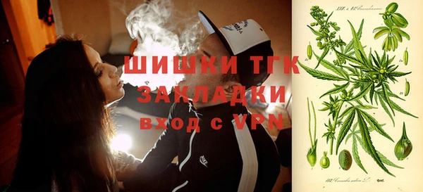 молекула духа Костерёво