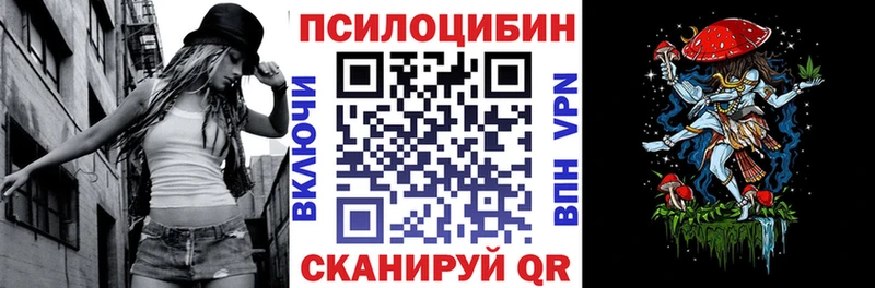 Купить закладки  Кировград  Псилоцибиновые грибы GOLDEN TEACHER 