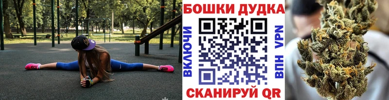 Купить закладки  Кировград  Марихуана сатива 